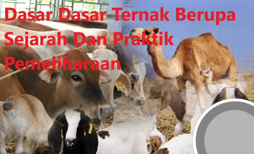 Dasar Dasar Ternak Berupa Sejarah Dan Praktik Pemeliharaan