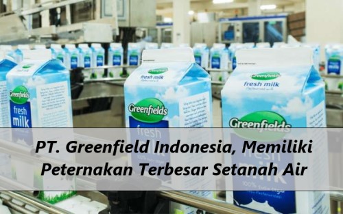 PT. Greenfield Indonesia, Memiliki Peternakan Terbesar Setanah Air