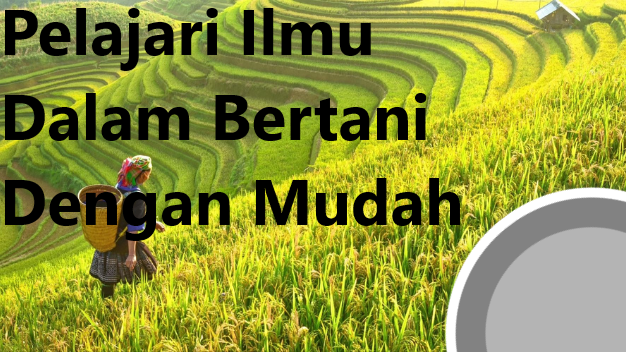 Pelajari Ilmu Dalam Bertani Dengan Mudah