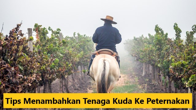 Tips Menambahkan Tenaga Kuda Ke Peternakan